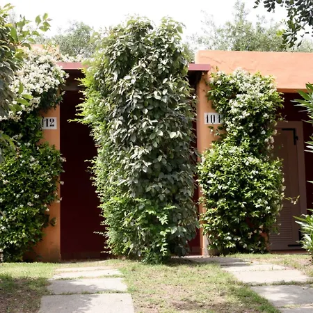 Th - Free Hotel