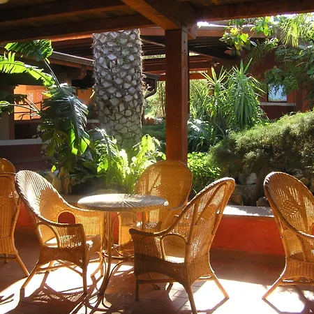Hotel Th - Free 4*