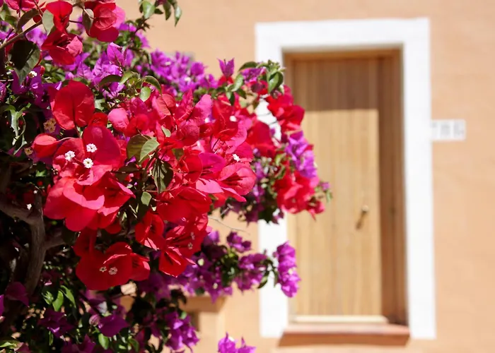 Hotel Th - Free Costa Rei